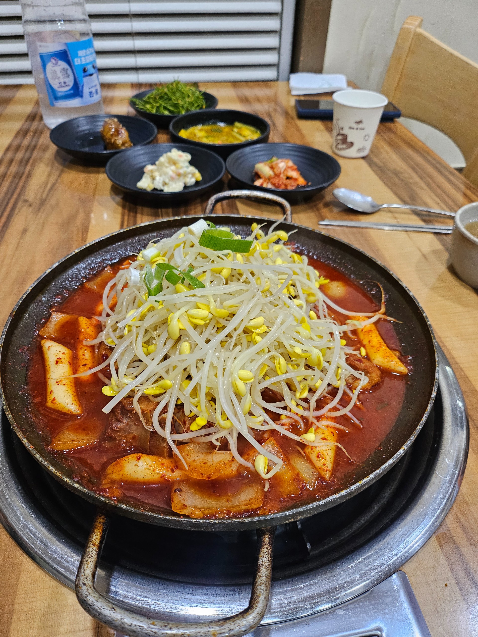 독토
